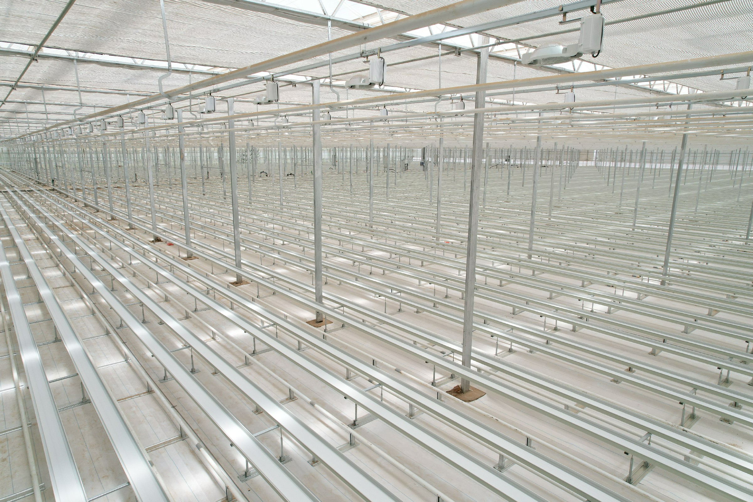 Cut Flower Greenhouse Growing System