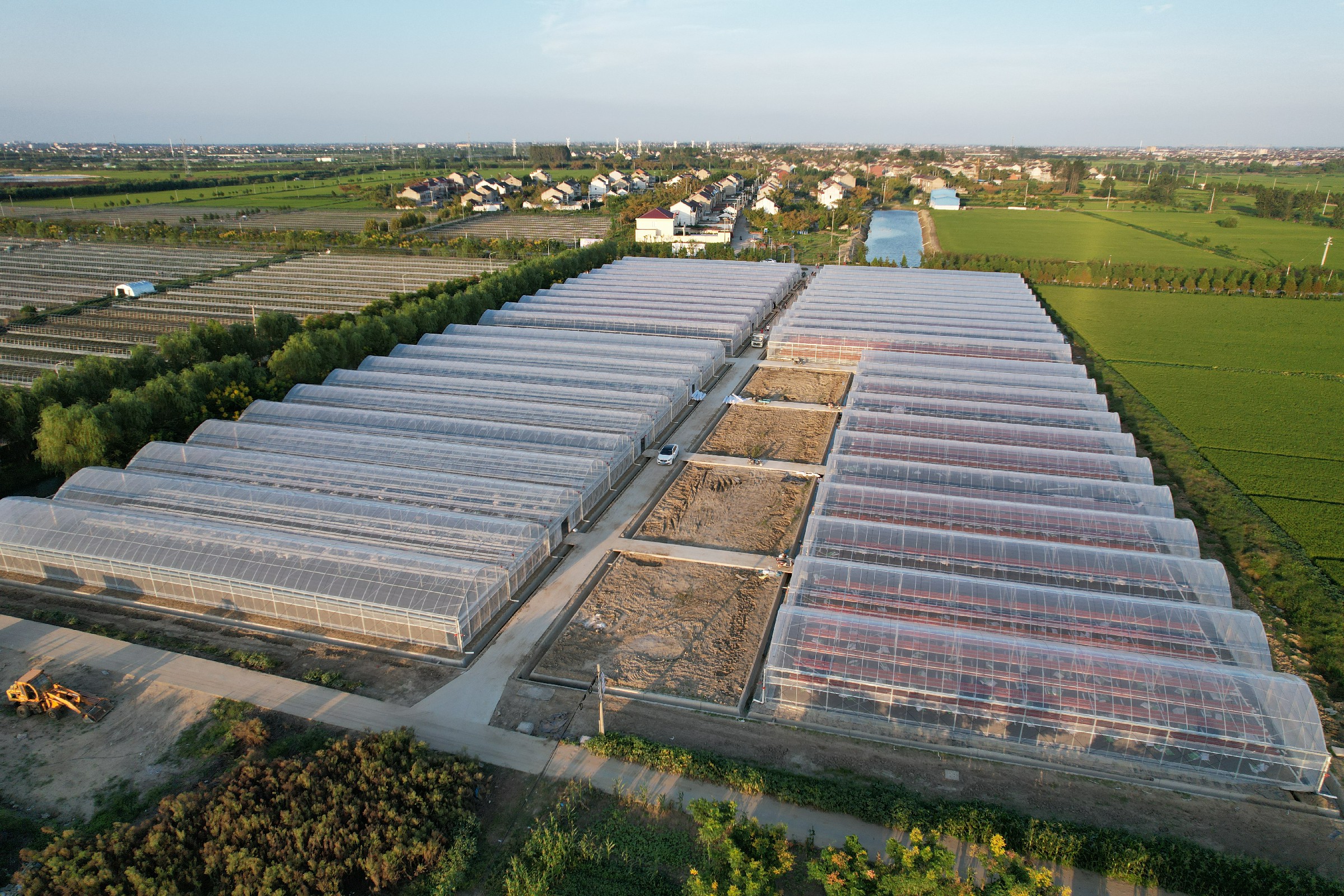 Strawberry Greenhouse Growing System