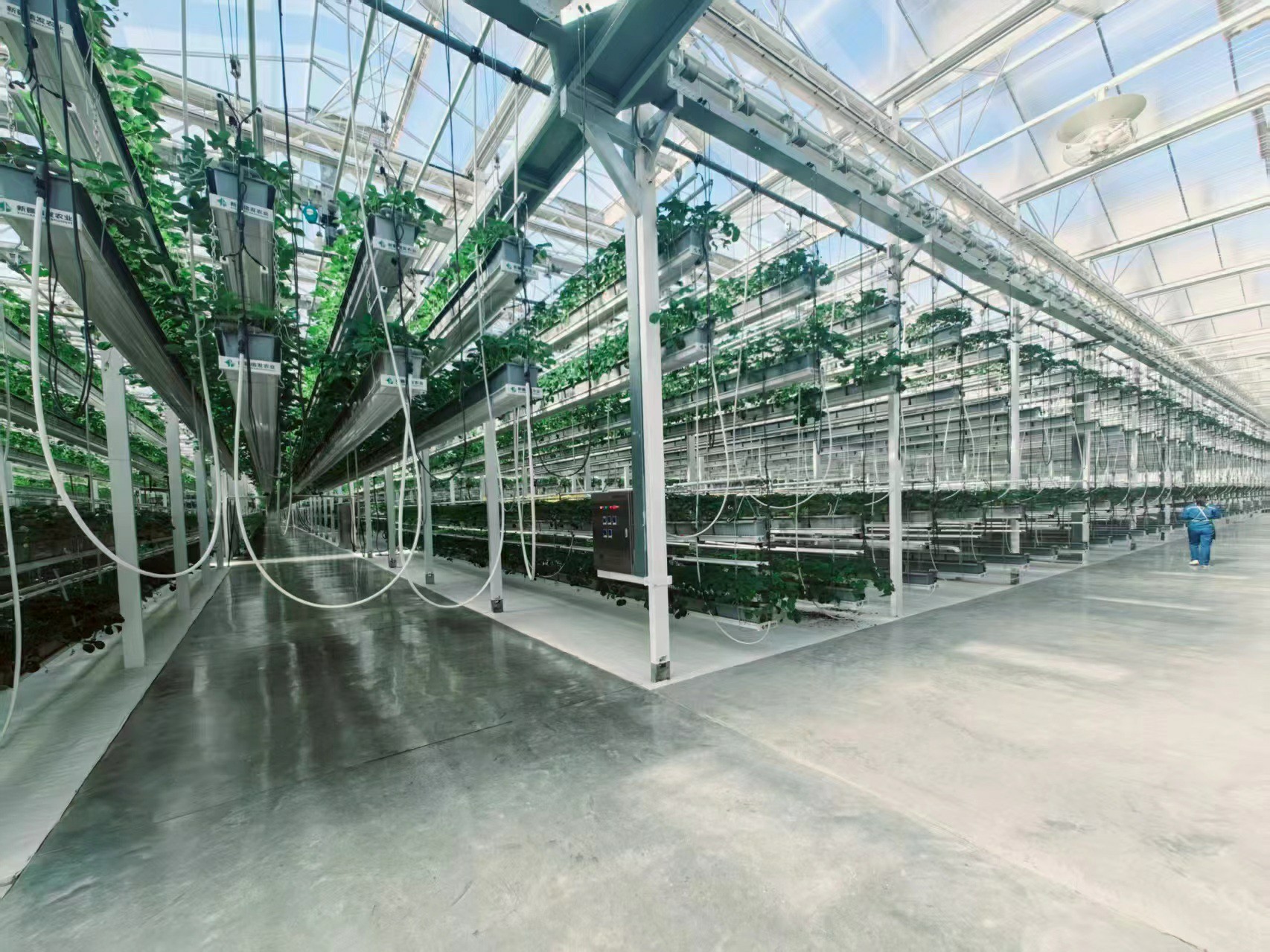 Greenhouse Crop Hooks & Hardware